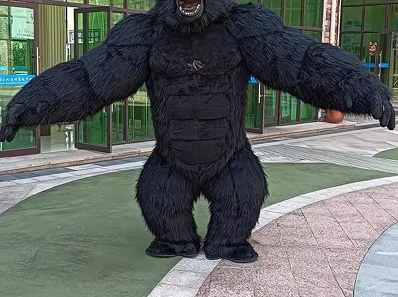 Real Life Inflatable Gorilla C - Anime Cosplay Real Life reseña y precio