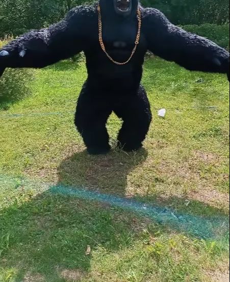 Real Life Inflatable Gorilla C - Anime Cosplay Real Life reseña y precio