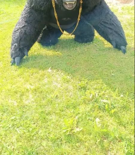 Real Life Inflatable Gorilla C - Anime Cosplay Real Life reseña y precio