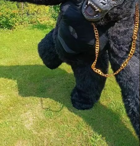 Real Life Inflatable Gorilla C - Anime Cosplay Real Life reseña y precio