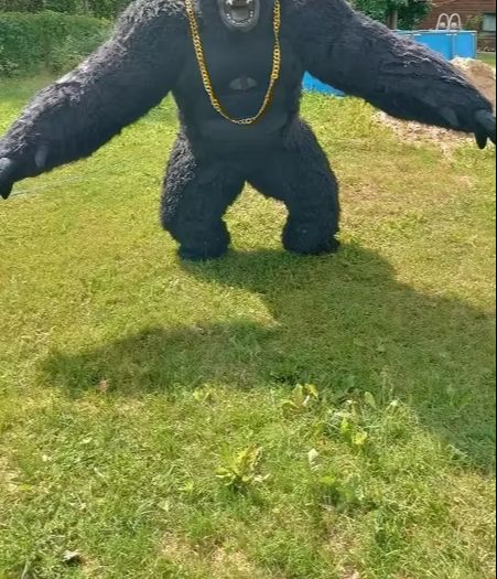 Real Life Inflatable Gorilla C - Anime Cosplay Real Life reseña y precio
